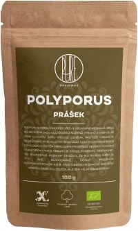 Pure Polyporus prášok, BIO 100g